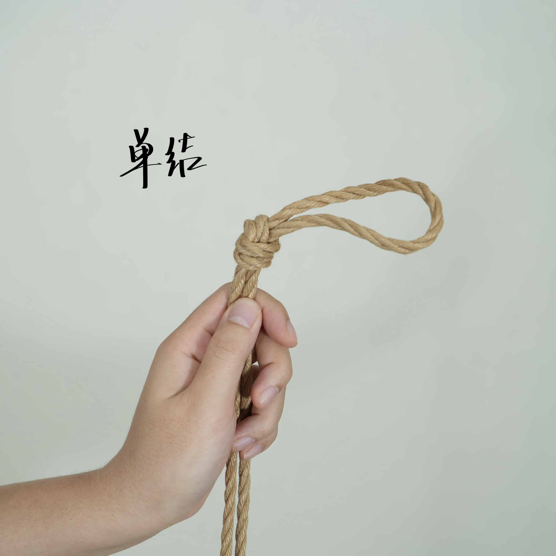 单结
